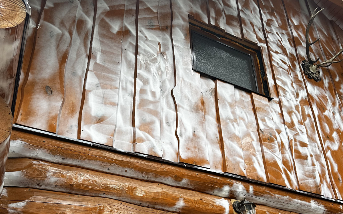 Likvidace dřevokazných škůdců